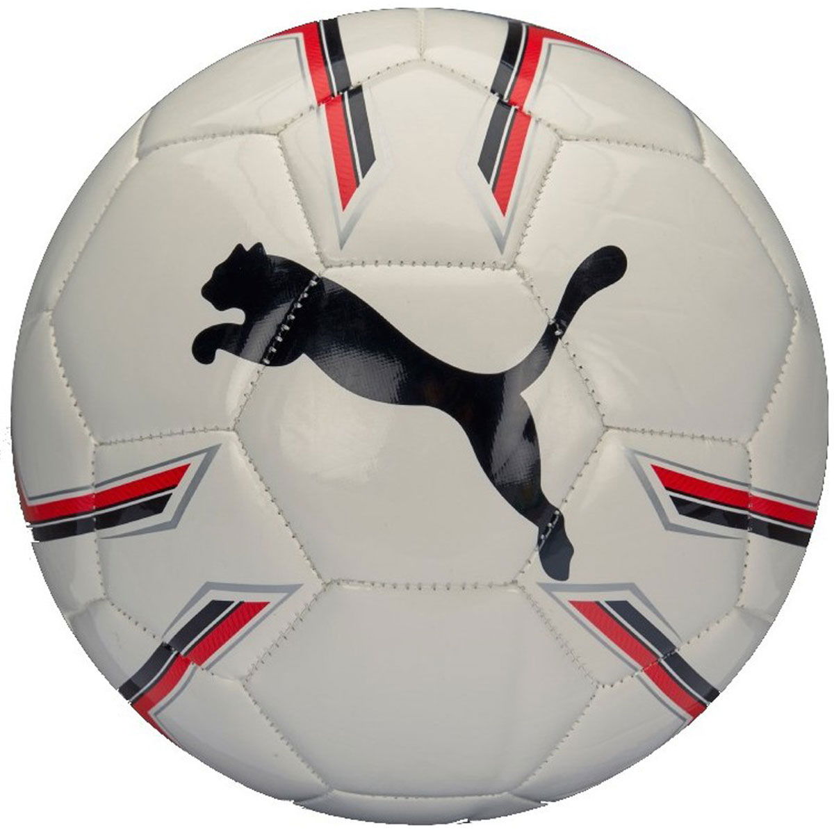Pro Training 2 Ms Ball Beyaz Futbol Topu 08281903