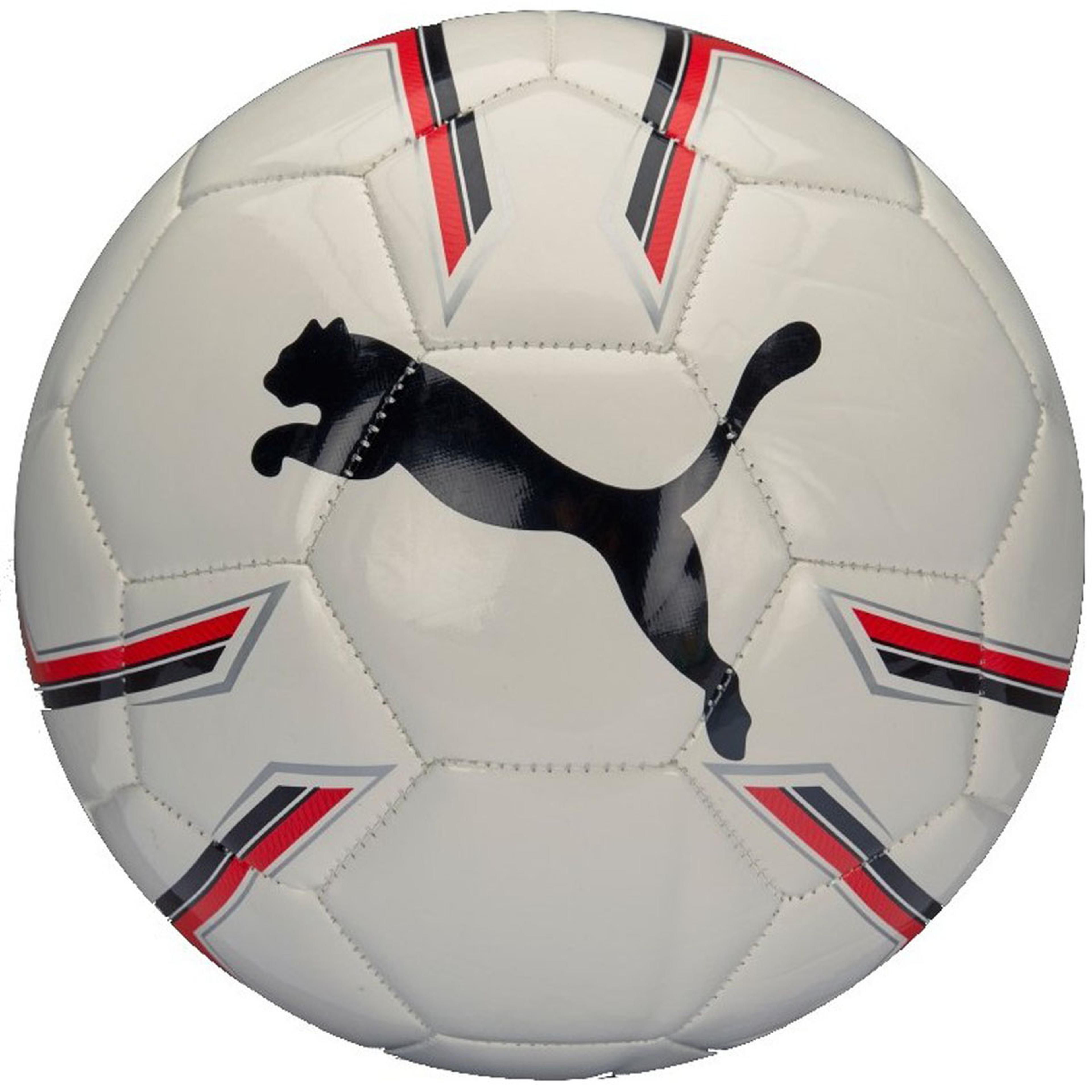 Pro Training 2 Ms Ball Beyaz Futbol Topu 08281903