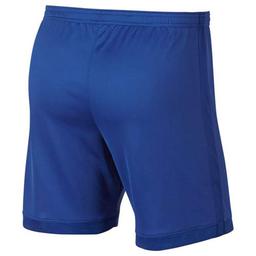 Dry Academy Erkek Mavi Futbol Şort AJ9994-480