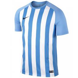 Dry Strp Sgmnt III Jsy Erkek Mavi Futbol Forma 832976-412