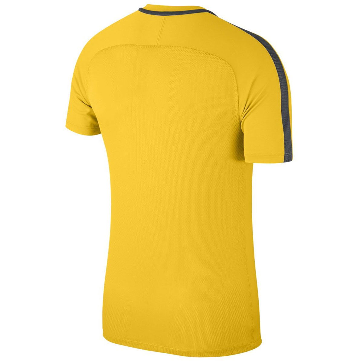 Nk Dry Academy18 Top Ss Erkek Futbol Tişörtü 893693-719