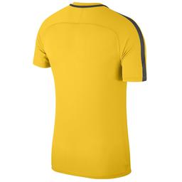 Nk Dry Academy18 Top Ss Erkek Futbol Tişörtü 893693-719