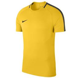 Nk Dry Academy18 Top Ss Erkek Futbol Tişörtü 893693-719