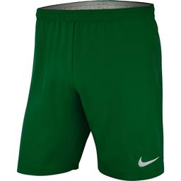 Dry Lsr iv Erkek Yeşil Futbol Şort Aj1245-302