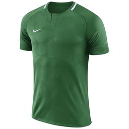 Dry Chalng ii Jsy Erkek Yeşil Futbol Forma 893964-341
