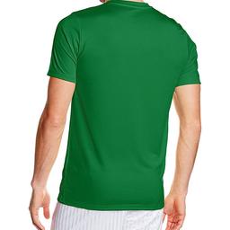 Park Vi Jsy Erkek Yeşil Futbol Forma 725891-302