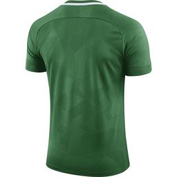 Dry Chalng ii Jsy Erkek Yeşil Futbol Forma 893964-341