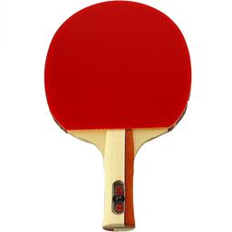 Slx Tr 300 Unisex Çok Renkli Tenis Raketi 85300
