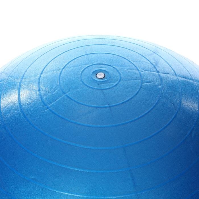 Spt Kadın Mavi 65cm Pilates Topu SPT-2902V-MAV 1189556