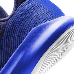 Precision IV Unisex Mavi Basketbol Ayakkabısı CK1069-400