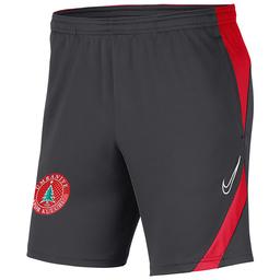 Ümraniye Dry Acdpr Erkek Gri Futbol Şort BV6924-062