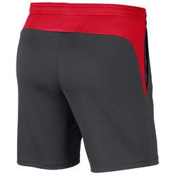 Ümraniye Dry Acdpr Erkek Gri Futbol Şort BV6924-062