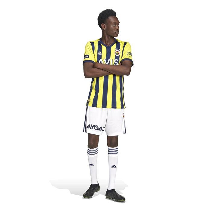 Fenerbahçe SK 2020-2021 Erkek Sarı-Lacivert İç Saha Forması GD3746 1223958