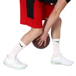 Lebron XVII Low NBA Erkek Beyaz Basketbol Ayakkabısı CD5007-103