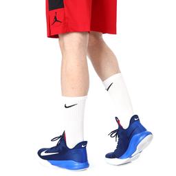 Precision IV Unisex Mavi Basketbol Ayakkabısı CK1069-400