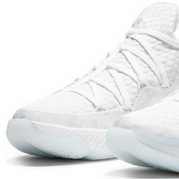 Lebron XVII Low NBA Erkek Beyaz Basketbol Ayakkabısı CD5007-103