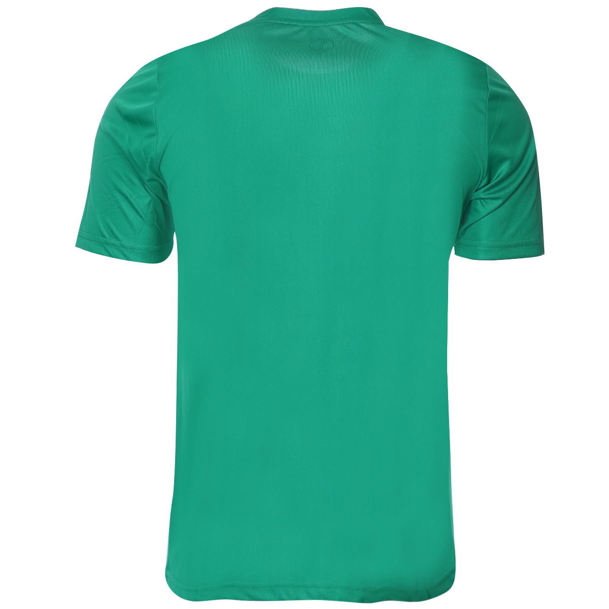 Poly Basic Erkek Yeşil Antrenman Tişörtü TKY100133-YSL