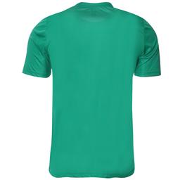 Poly Basic Erkek Yeşil Antrenman Tişörtü TKY100133-YSL