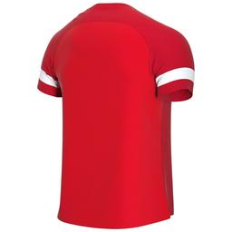 Dri-Fıt Academy Erkek Kırmızı Futbol Forma CW6101-658
