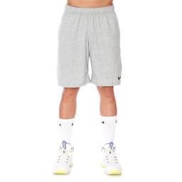 Dri-Fit Erkek Gri Antrenman Şortu CJ2044-063