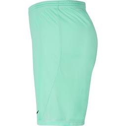 Dri-Fit Park III Çocuk Turkuaz Futbol Şort BV6865-354-DIG
