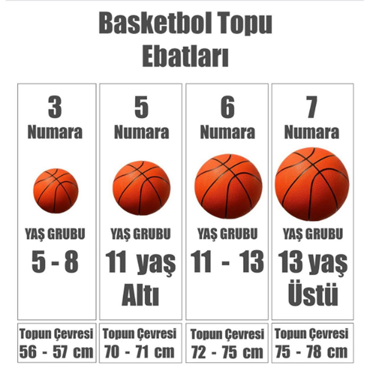 Lebron Skills NBA Unisex Çok Renkli Basketbol Topu N.000.3144.931.03