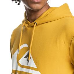 Big Logo Hood Erkek Çok Renkli Outdoor Sweatshirt EQYFT04450-25324