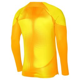 Y Gardien IV Dri-Fit Adv Çocuk Sarı Uzun Kollu Spor T-Shirt DH8346-719