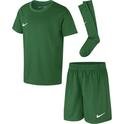 Dry Park20 Kit Set K Çocuk Yeşil Futbol Forma Takımı CD2244-302 1214356