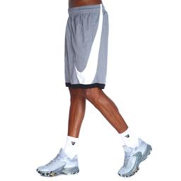Dri-Fit Hbr 10in 3.0 Erkek Gri Basketbol Şort DH6763-065