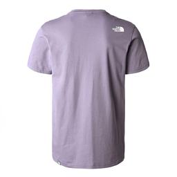 M S/S Simple Dome Erkek Mor Outdoor T-Shirt NF0A2TX5N141