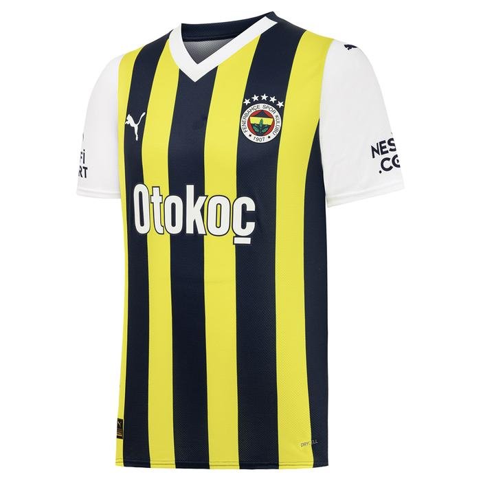 Fenerbahçe İç Saha Erkek Çubuklu Futbol Forma 77200001 1449328