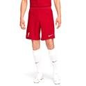 Liverpool FC Dri-Fit Adv Erkek Kırmızı Futbol Şort DX2628-687 1457062