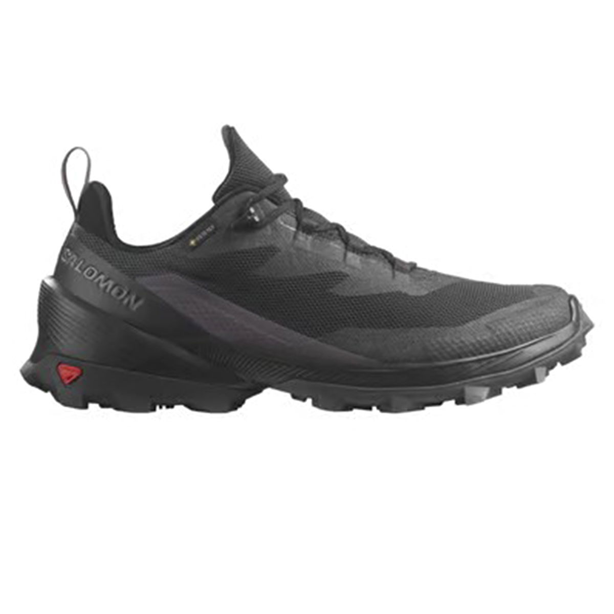 Cross Over 2 Gore-tex Erkek Siyah Outdoor Koşu Ayakkabısı L47269000