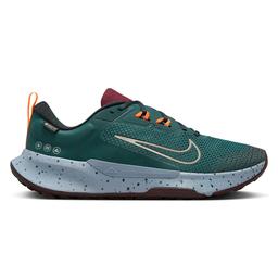 Juniper Trail 2 Gore-tex Erkek Yeşil Koşu Ayakkabısı FB2067-300