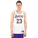 Los Angeles Lakers NBA Erkek Beyaz Basketbol Forma DN2081-103 1504097
