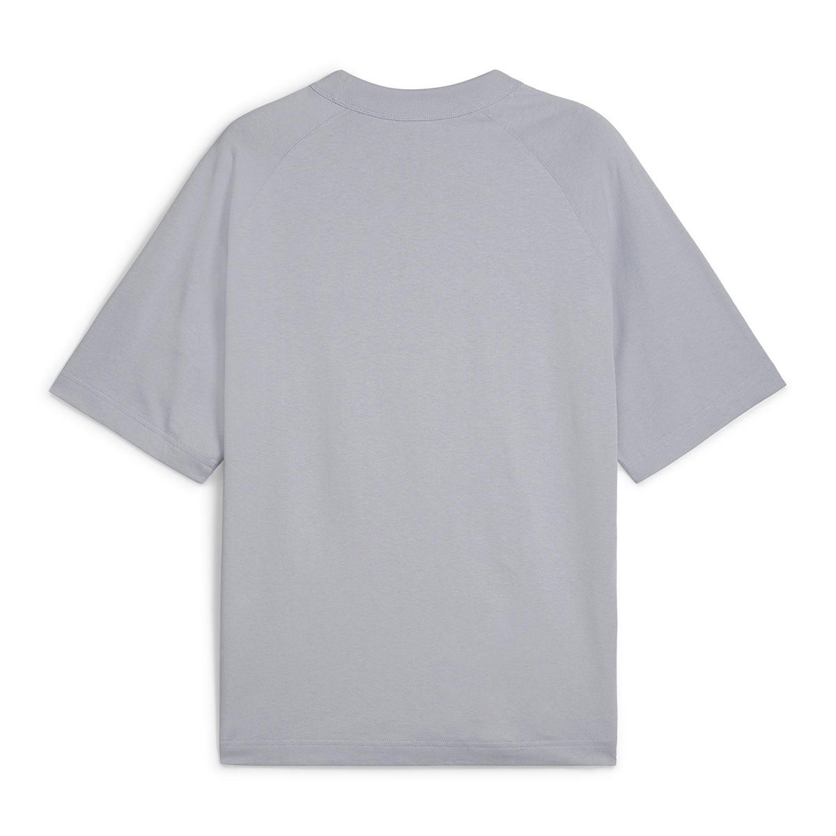 Classics+ Erkek Gri Günlük Stil T-Shirt 62427263
