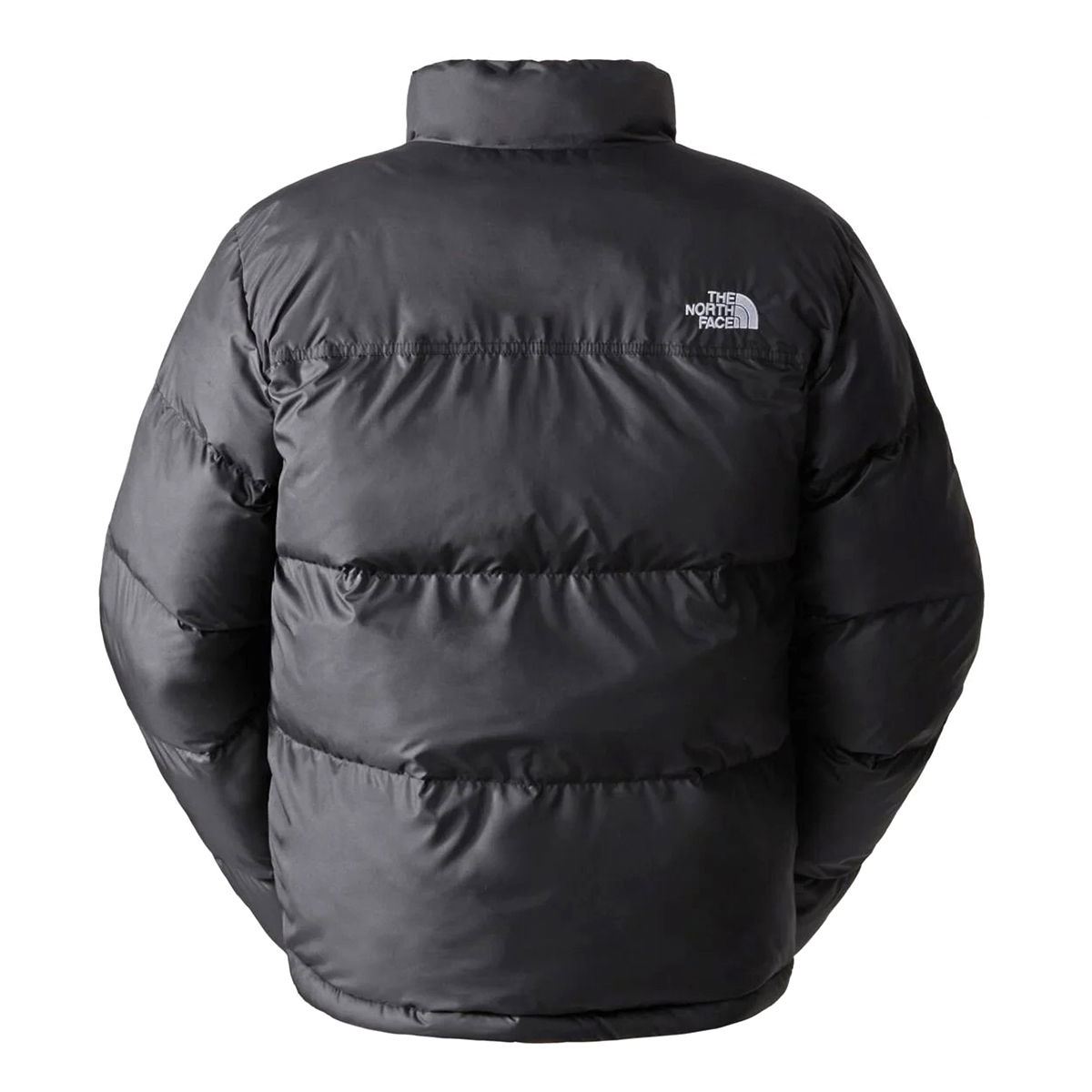 Saikuru Erkek Siyah Outdoor Mont NF0A853IJK31