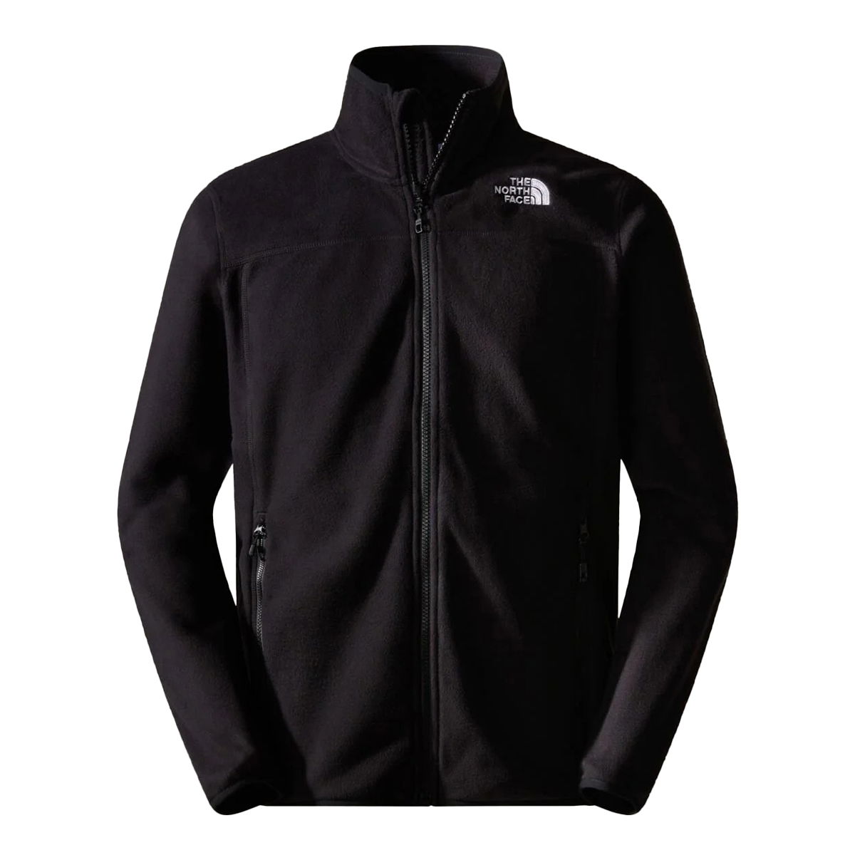 100 Glacier Erkek Siyah Outdoor Polar NF0A855X4H01