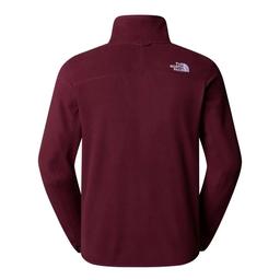 100 Glacier Erkek Bordo Outdoor Polar NF0A855X1OO1