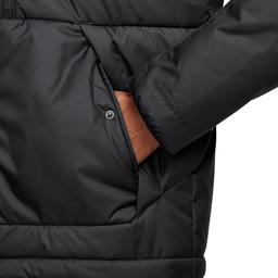 Therma-Fit Erkek Siyah Günlük Stil Mont DX2038-010