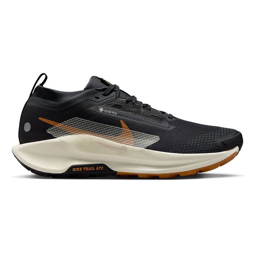 Pegasus Trail 5 Gore-tex Erkek Siyah Koşu Ayakkabısı FQ0908-007