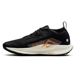 W Pegasus Trail 5 Gore-tex Kadın Siyah Koşu Ayakkabısı FQ0912-005