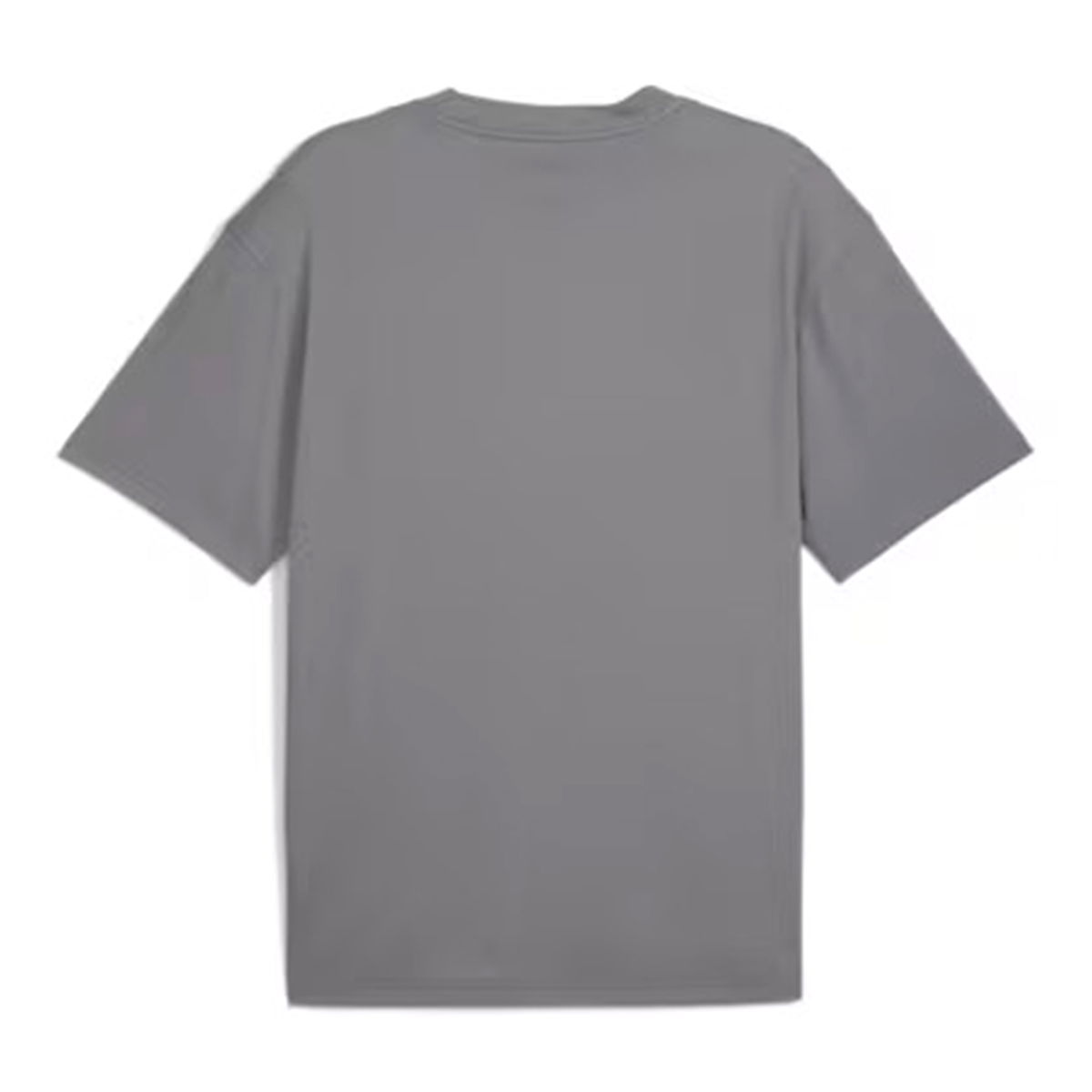 Posterize Erkek Gri Basketbol T-Shirt 63049902