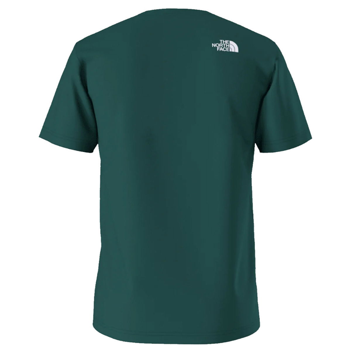 Biner Erkek Yeşil Outdoor T-Shirt NF0A894X6GI1