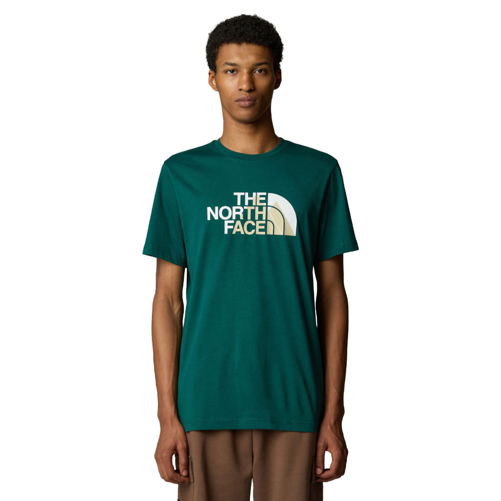 Biner Erkek Yeşil Outdoor T-Shirt NF0A894X6GI1