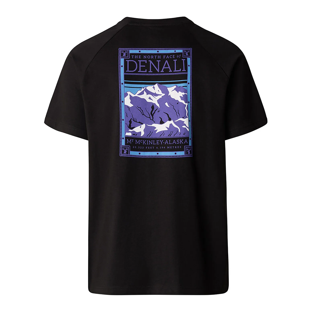 Nf Erkek Siyah Outdoor T-Shirt NF0A87NUJK31