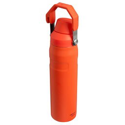 The Aerolight IceFlow 0.6L / 20Oz Unisex Turuncu Soğuk Su Termosu 10-12515-003