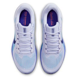 Air Zoom Pegasus 41 Erkek Mor Koşu Ayakkabısı FD2722-014