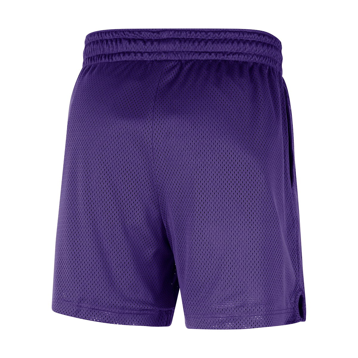 Los Angeles Lakers NBA Erkek Mor Basketbol Şort FQ3393-504